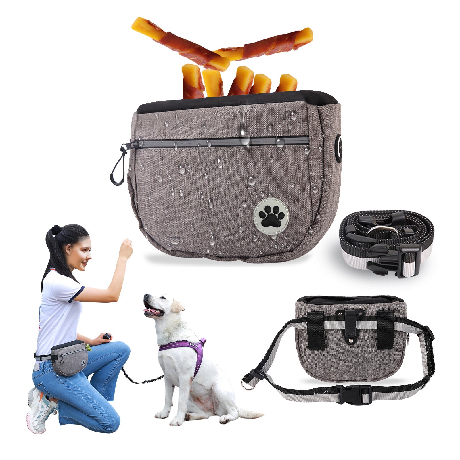 Pet Dog Treat Pouch Large Capacity Outdoor Dog Food Storage Training Pouch