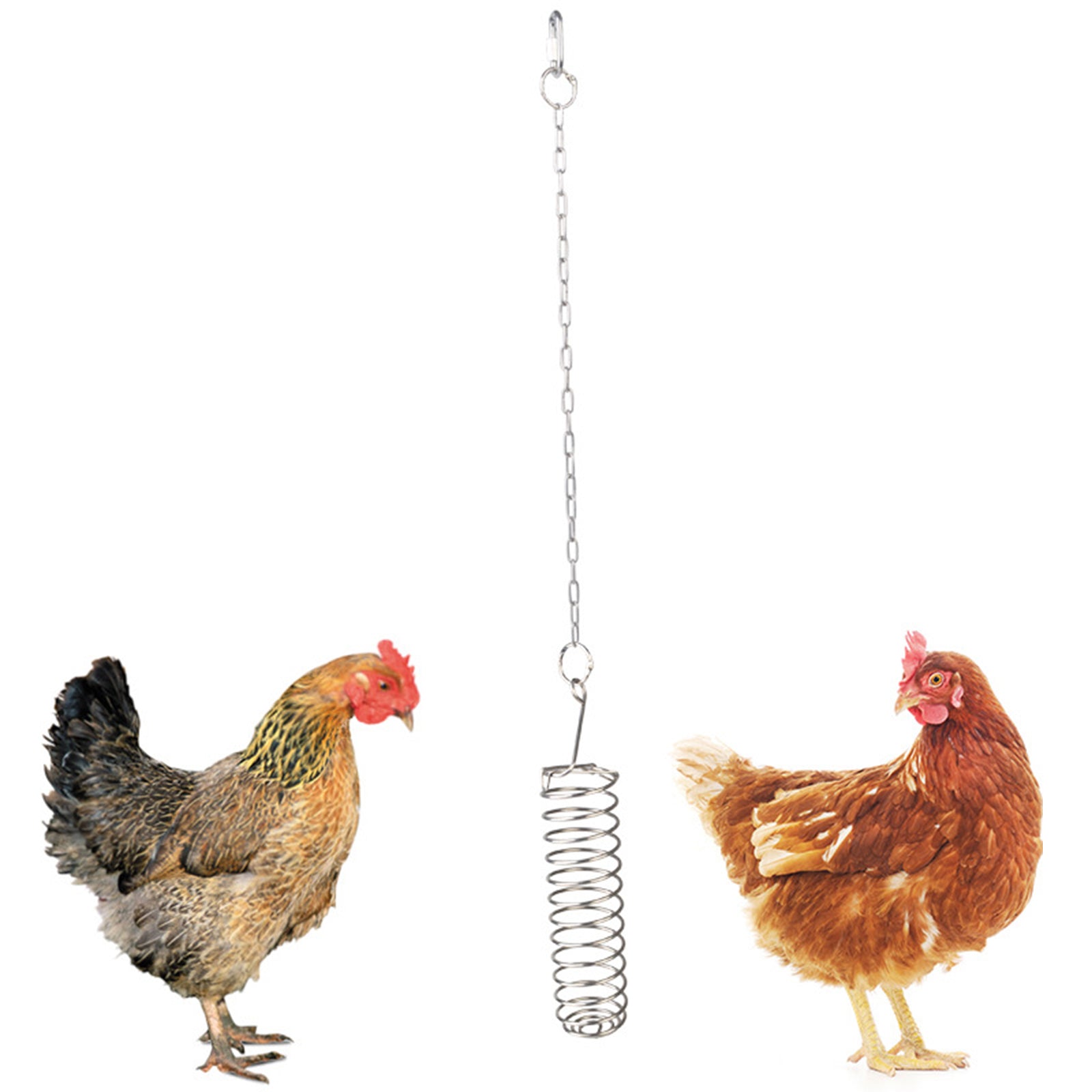 Pet Bird Food Holder Support Hanging Vegetable Skewer Feeder Spring