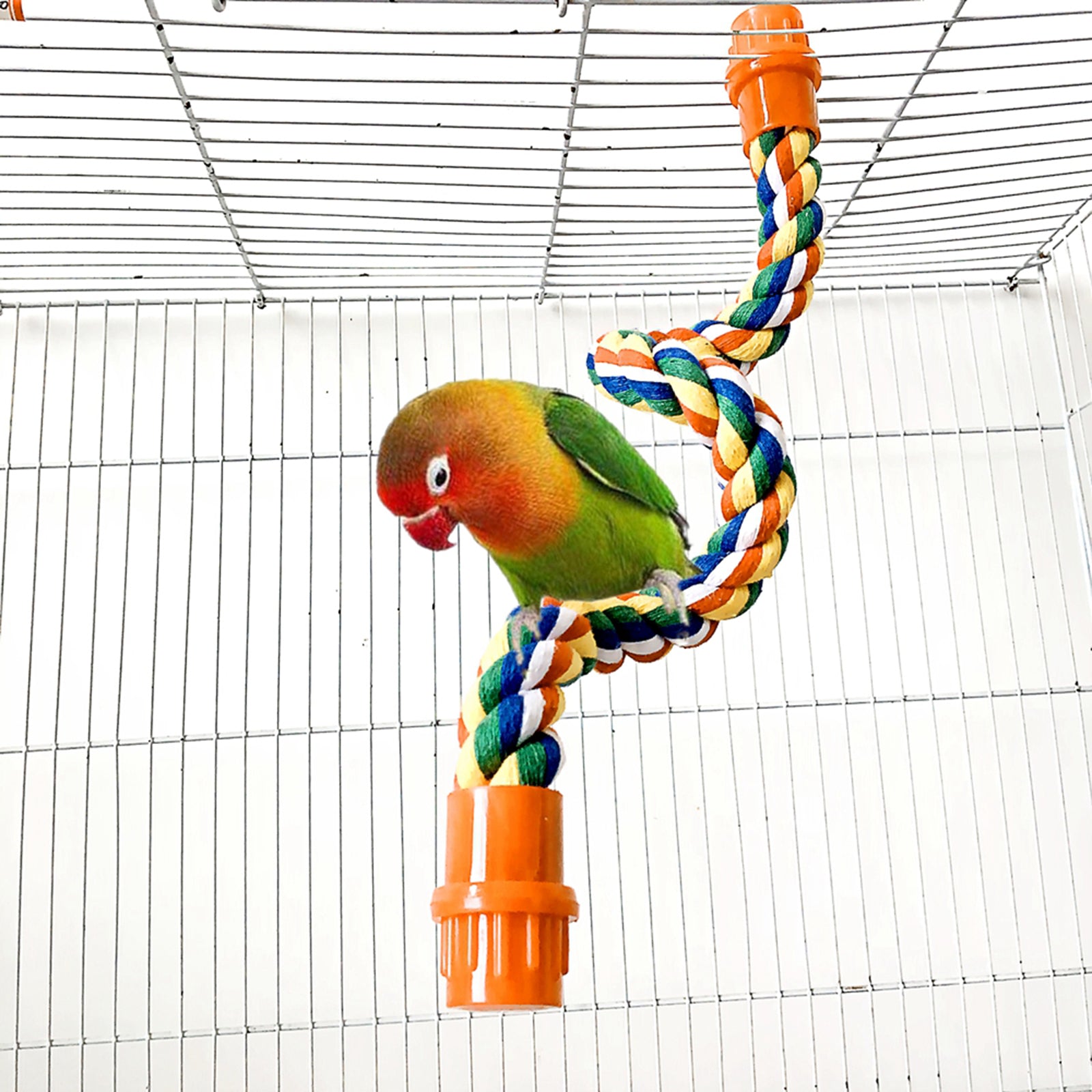 Flexible Bird Rope Perch Hanging Chew Perches for Parrot Macaw Cage Toy