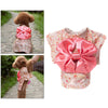 Cat Japanese Kimono Dress Up Costume Skirt Clothes for Small Dogs M Pink