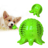 Dog Squeaky Toy Chew Toy Squeaker Training Toothbrush Puppies Pets Green