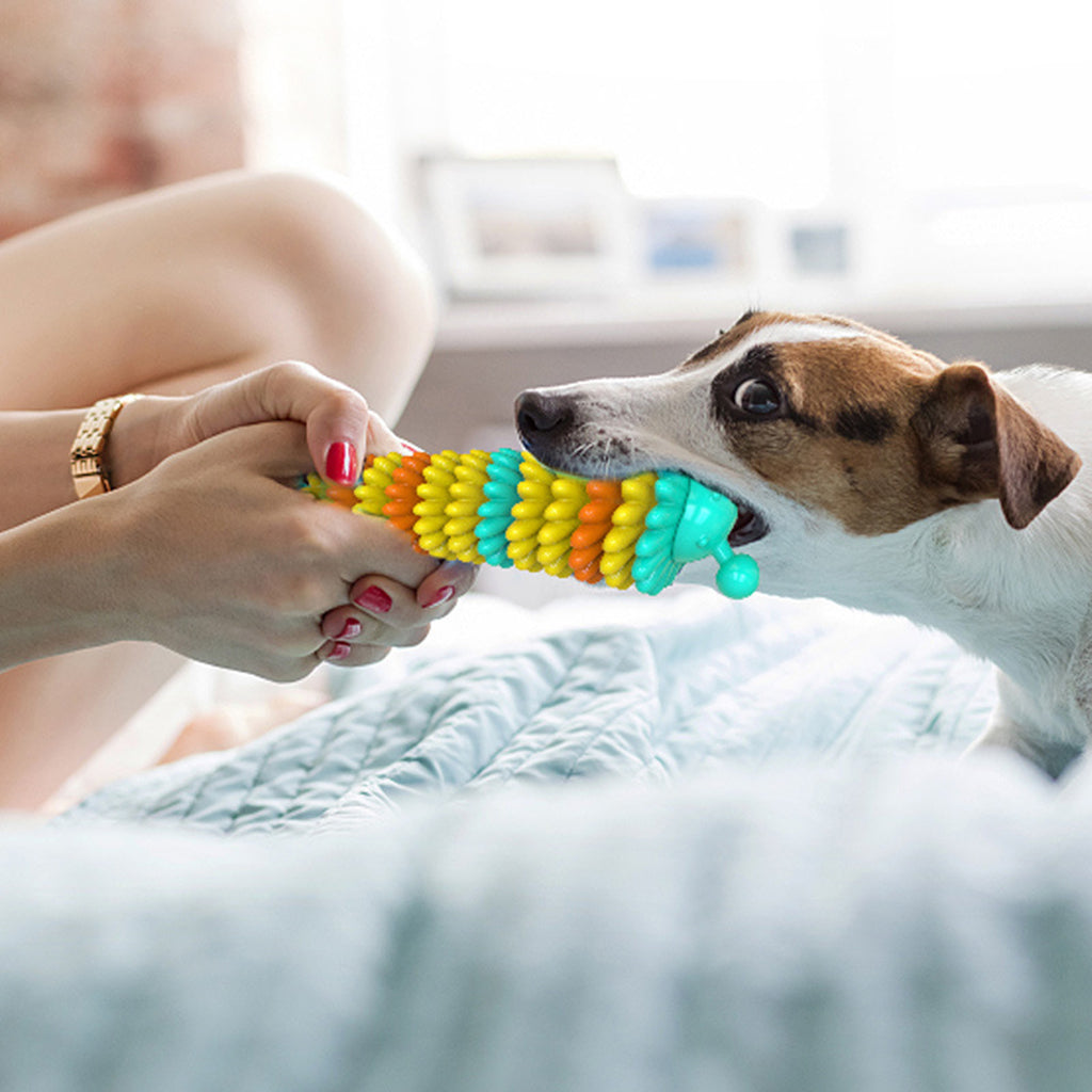 Dogs Chew Toy TPR Interactive Molar Teeth Cleaning Training Pet Supply Blue