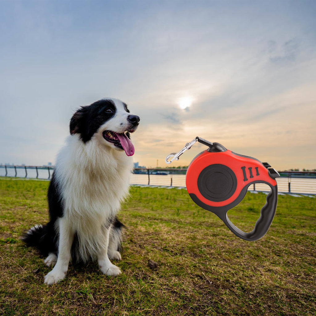 5m Retractable Dog Leash Flexible Dog Training Walking Nylon Lead Red