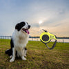 5m Retractable Dog Leash Flexible Dog Training Walking Nylon Lead Yellow