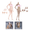 Load image into Gallery viewer, Moveable Joints 1:6 Female Body Skeleton Big Breast Normal Skin