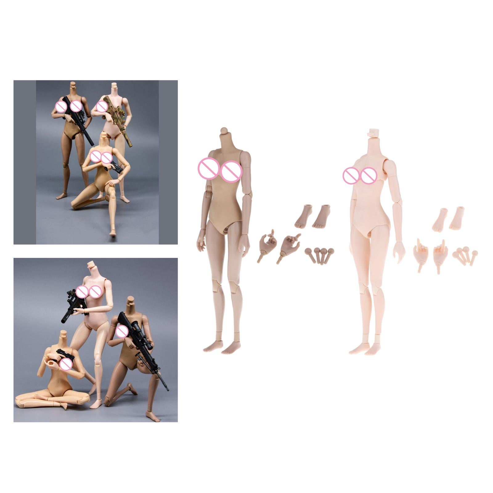 Moveable Joints 1:6 Female Body Skeleton Big Breast Normal Skin