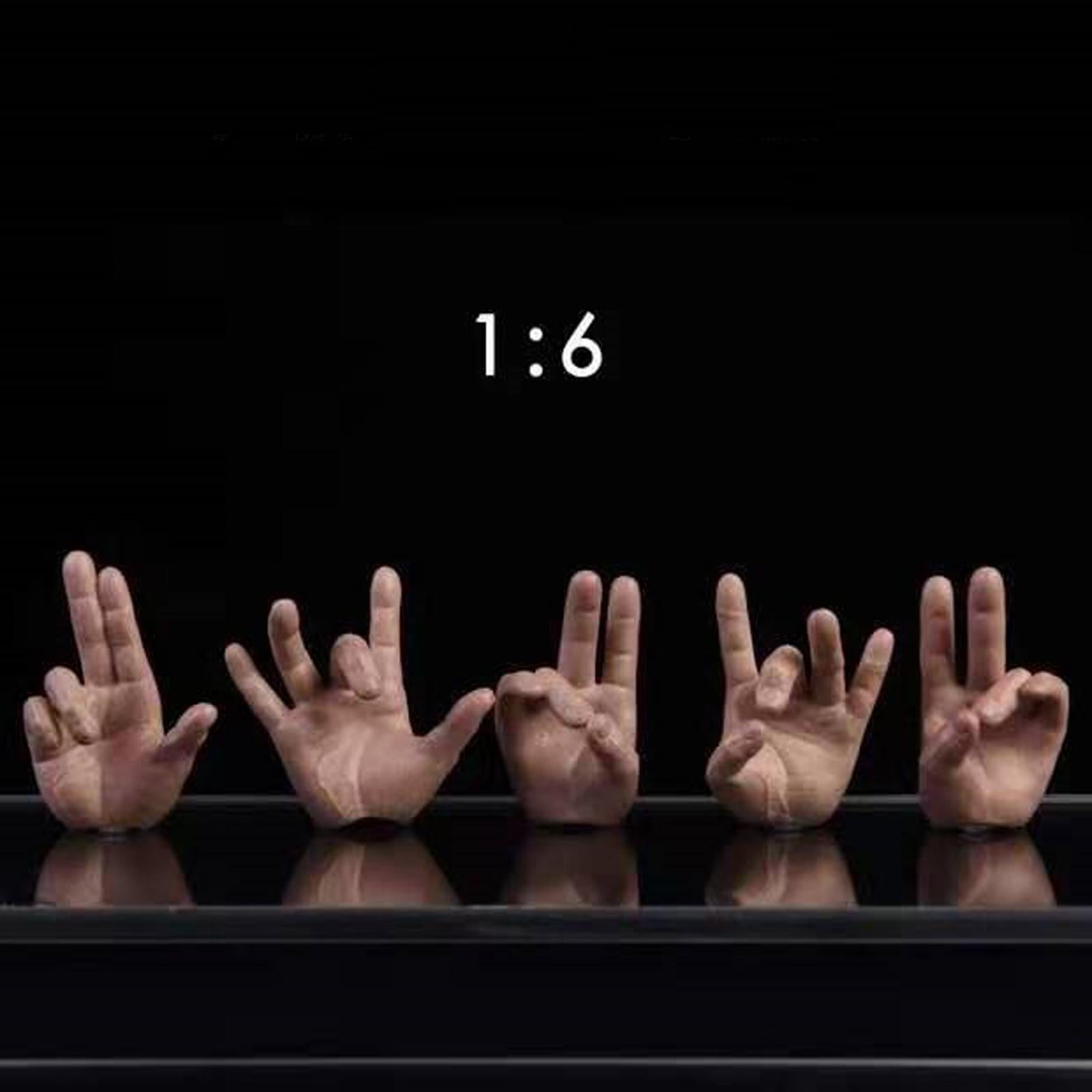 5pcs 1:6 Mans Finger Hands Model for Enterbay PH JO 12inch Action Figures