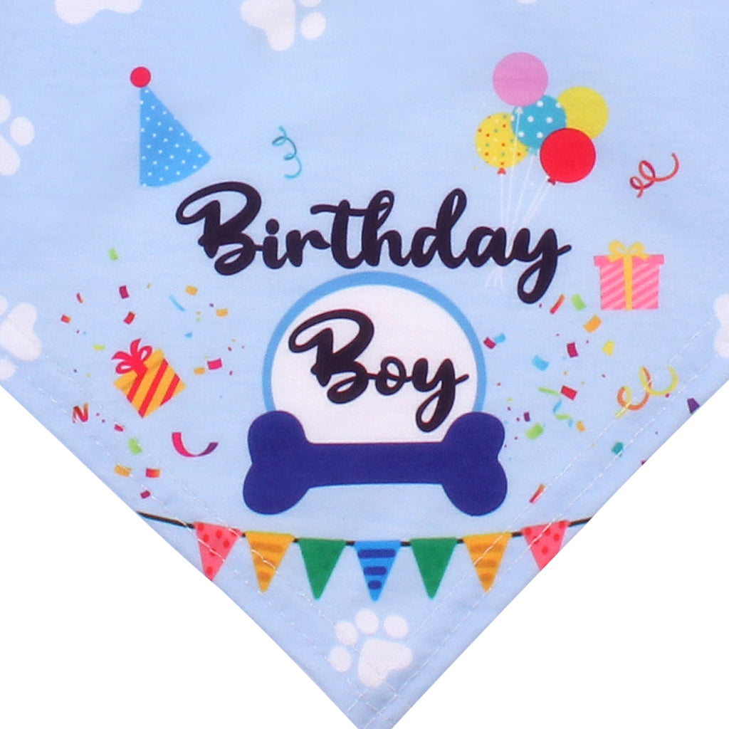 Pet Dog Cat Birthday Hat Bandana Neckerchief Ties Party Fancy Dress Blue