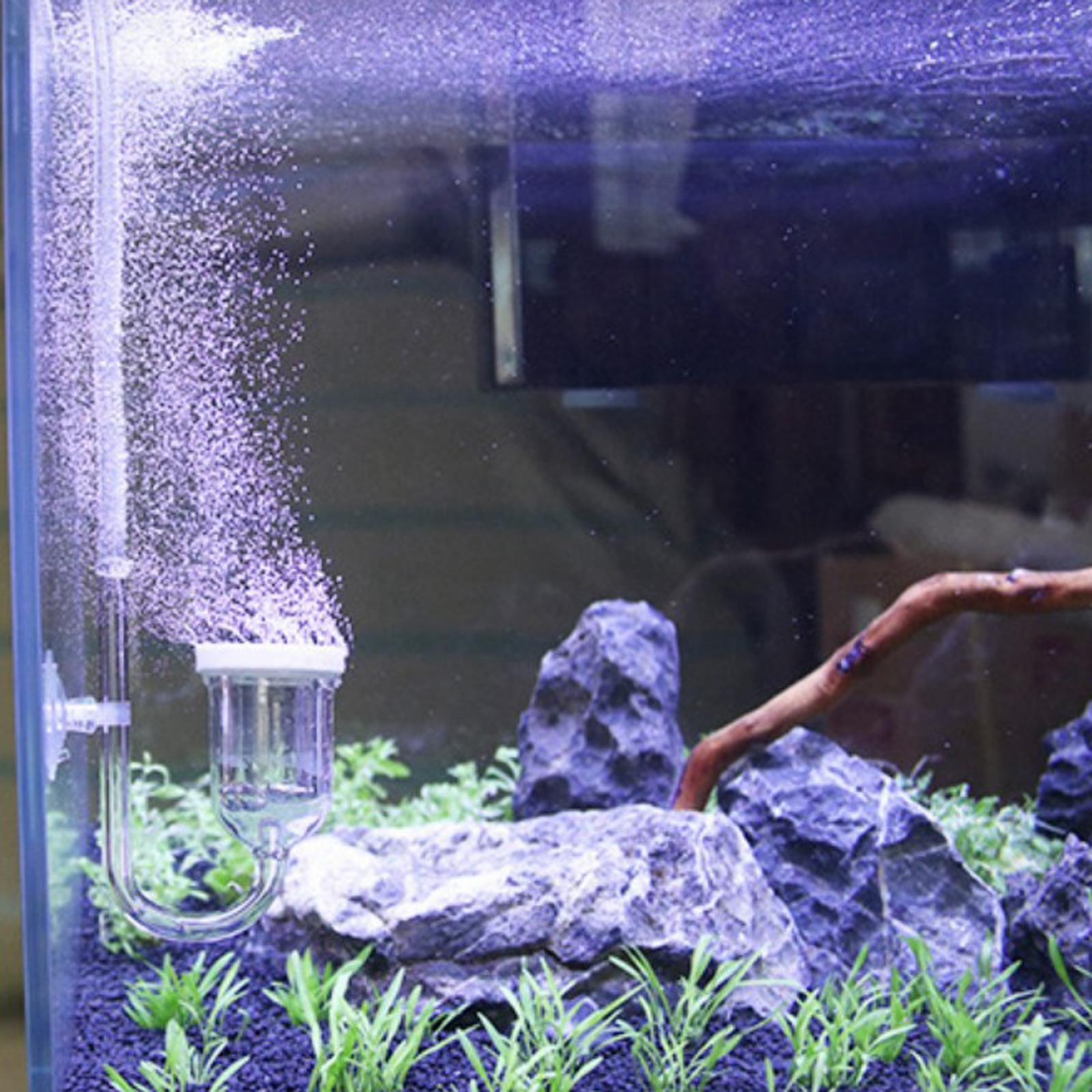 Aquarium CO2 Diffuser w/ U-Shape Connecting Tube for Planted Tank Dia. 35mm