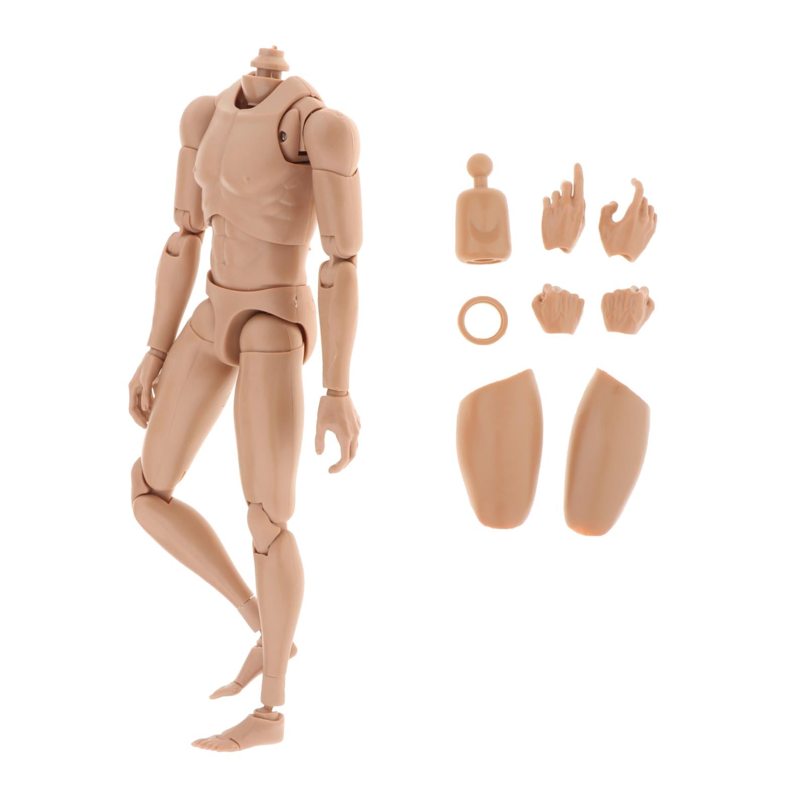 1/6 Scale Moveable Joints Male Muscle Body for HT DAM Action Figures DIY