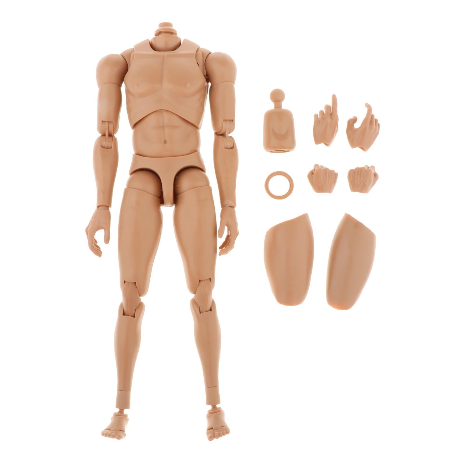1/6 Scale Moveable Joints Male Muscle Body for HT DAM Action Figures DIY
