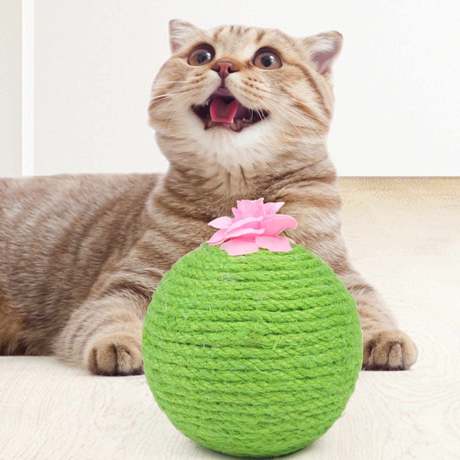 Durable Cat Cactus Ball 10.5cm Cats Biting Tumbler Toy Kitten Catnip Balls