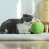 Durable Cat Cactus Ball 10.5cm Cats Biting Tumbler Toy Kitten Catnip Balls