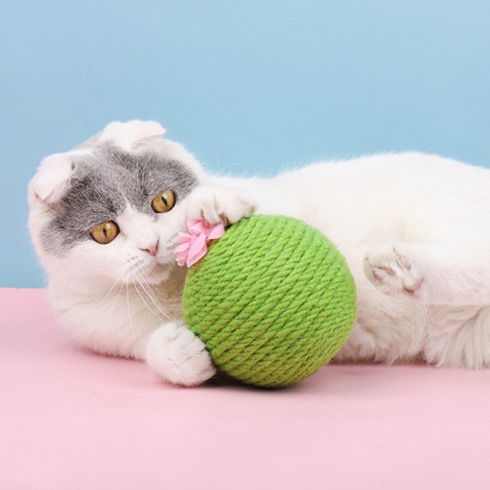 Durable Cat Cactus Ball 10.5cm Cats Biting Tumbler Toy Kitten Catnip Balls