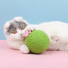 Durable Cat Cactus Ball 10.5cm Cats Biting Tumbler Toy Kitten Catnip Balls