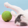 Durable Cat Cactus Ball 10.5cm Cats Biting Tumbler Toy Kitten Catnip Balls