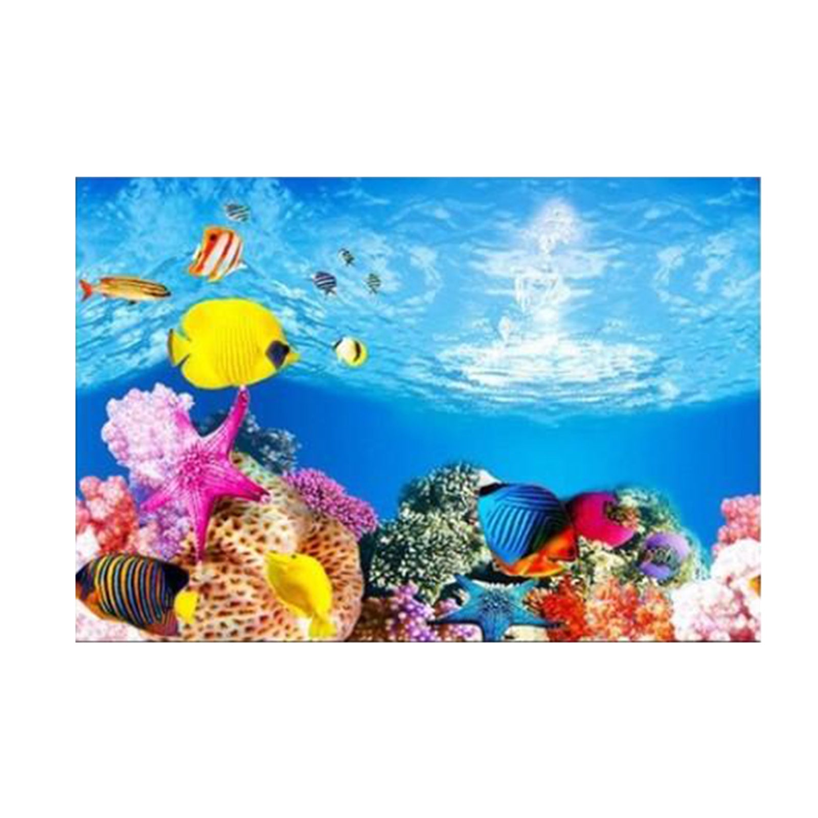 Ocean PVC Aquarium Background Poster Fish Tank Decoration Landscape 60x102cm