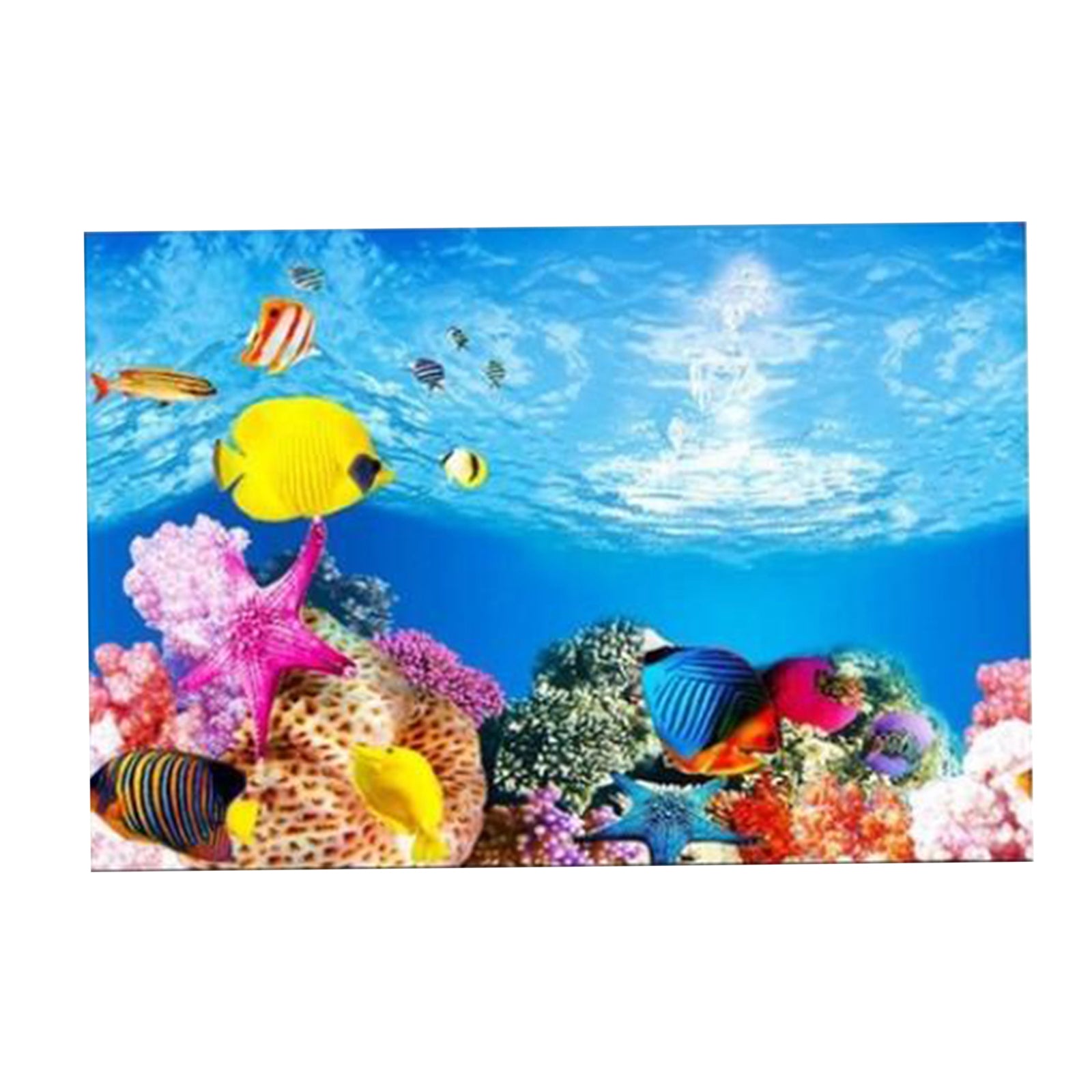 Ocean PVC Aquarium Background Poster Fish Tank Decoration Landscape 60x102cm