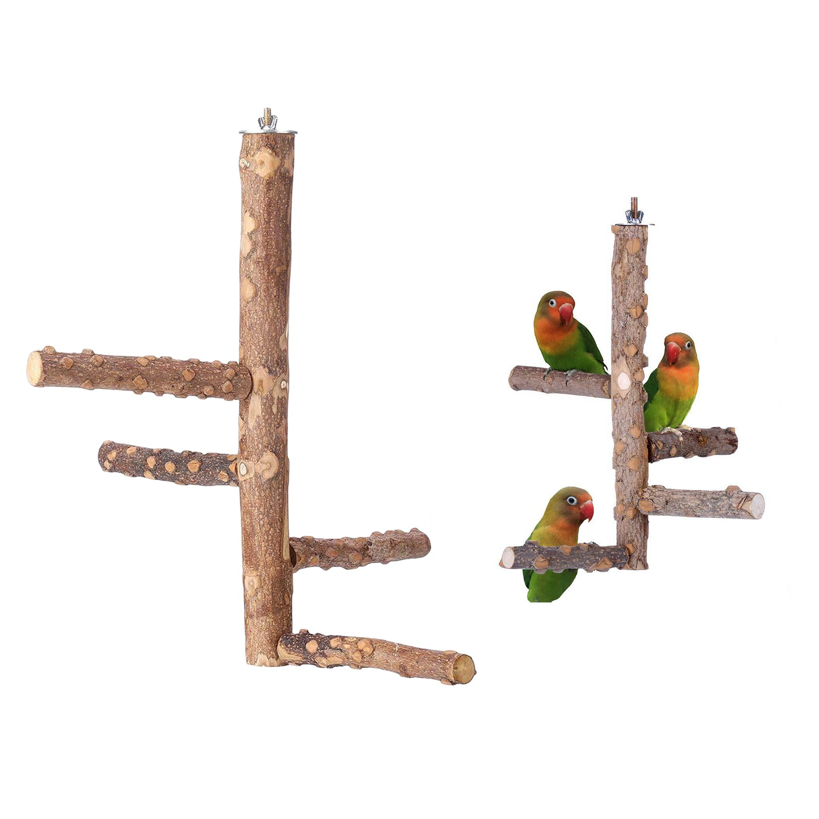 Pet Bird Parrot Perch Stand Holder Natural Wood Claw Grinding S 10x20cm