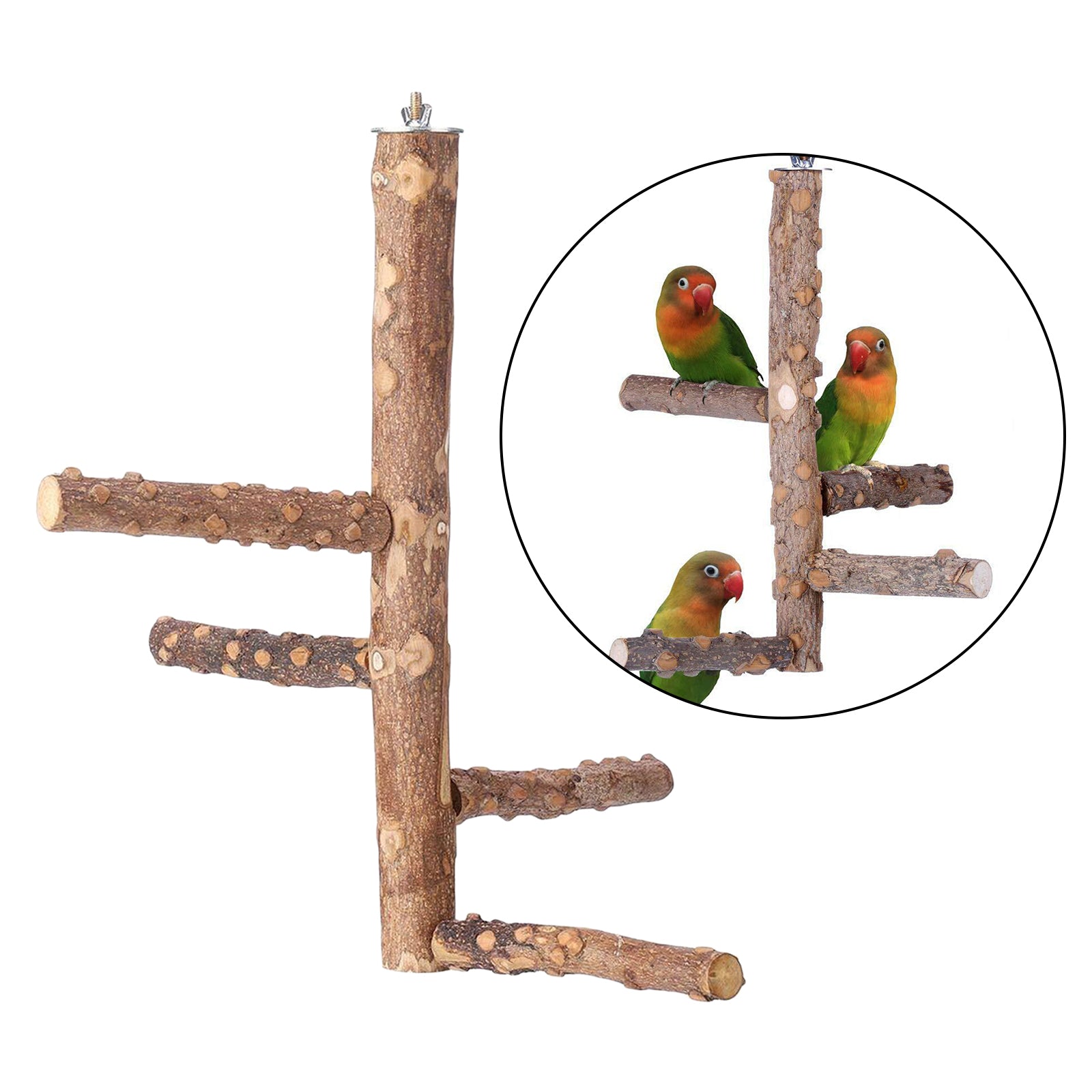 Pet Bird Parrot Perch Stand Holder Natural Wood Claw Grinding S 10x20cm