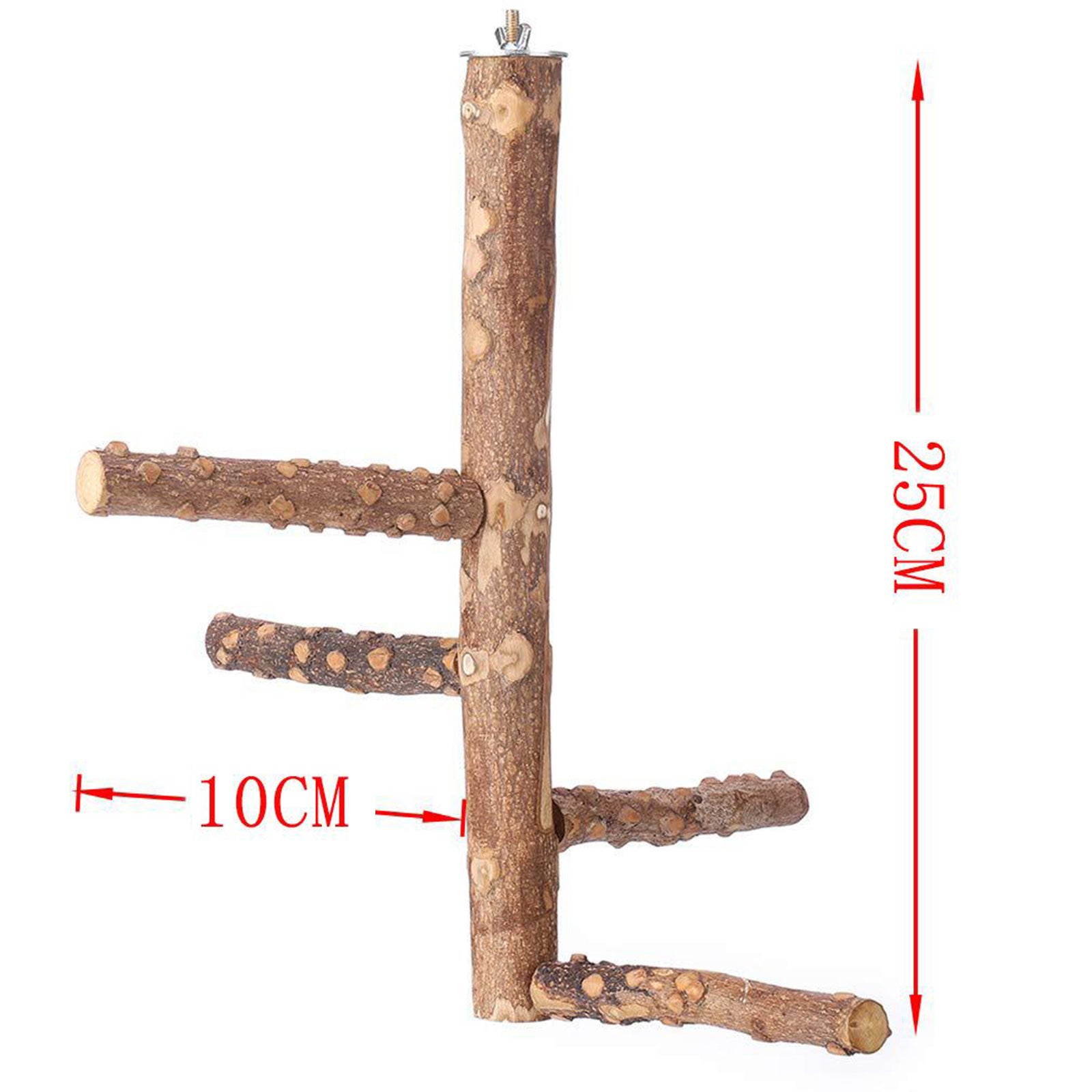 Pet Bird Parrot Perch Stand Holder Natural Wood Claw Grinding M 10x25cm