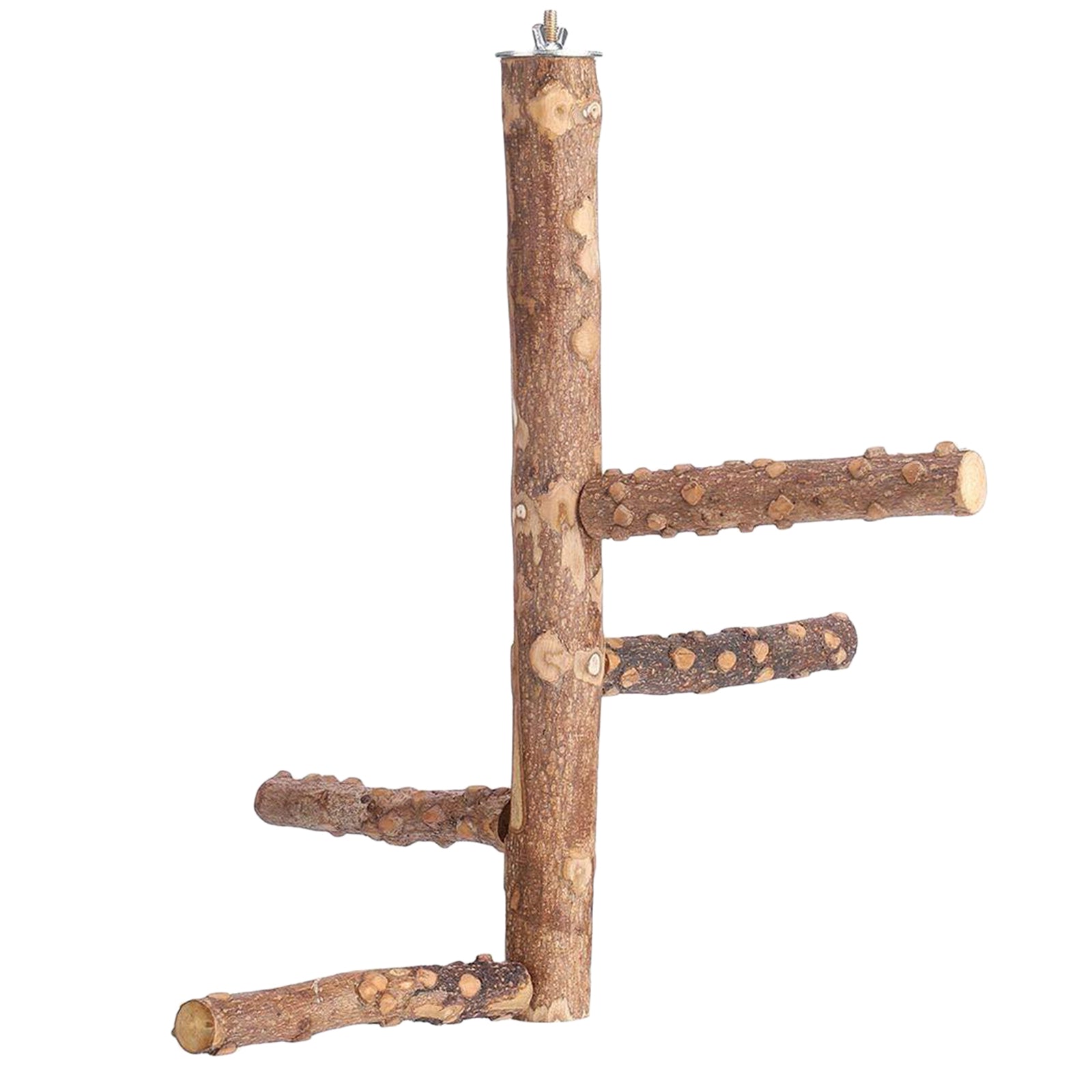 Pet Bird Parrot Perch Stand Holder Natural Wood Claw Grinding M 10x25cm