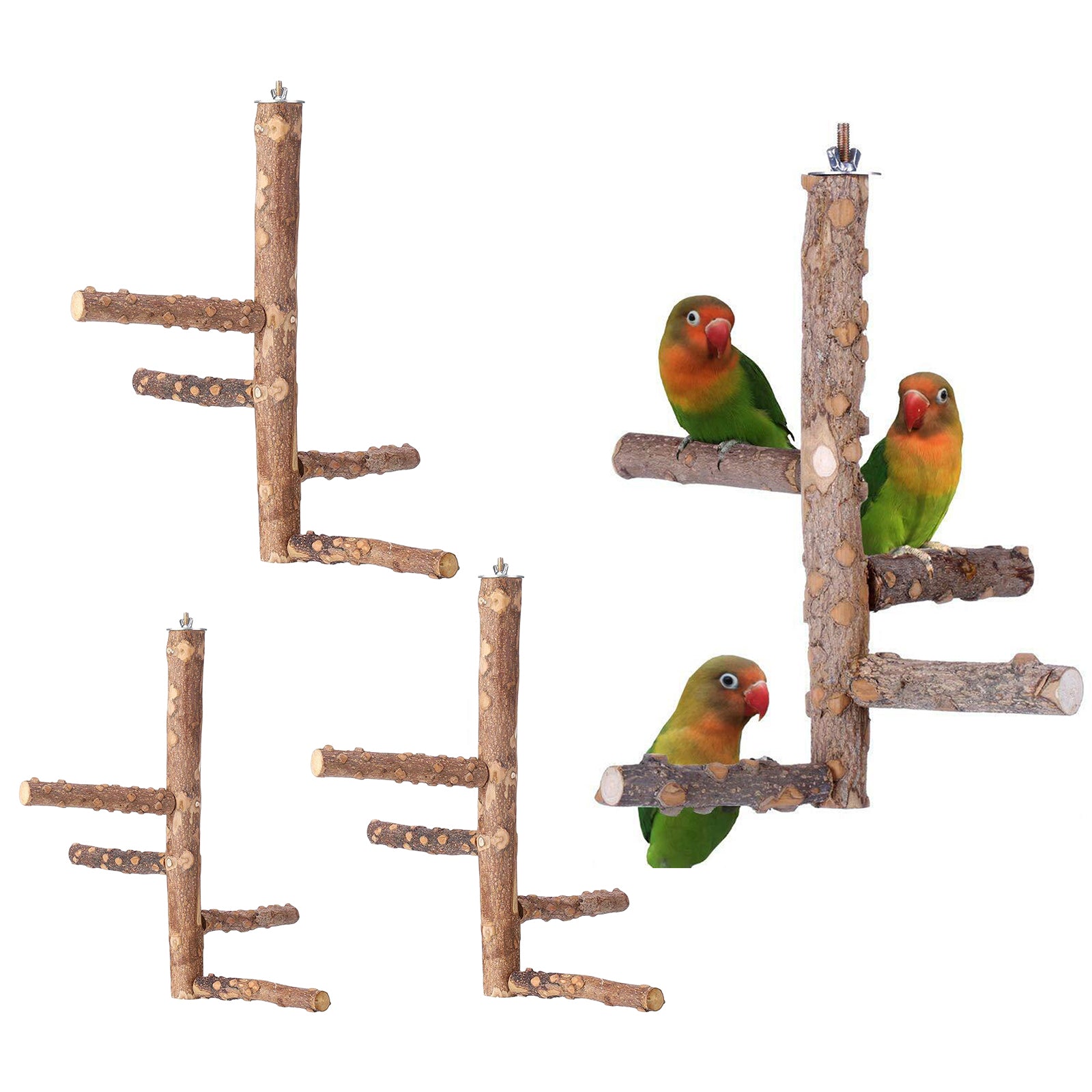 Pet Bird Parrot Perch Stand Holder Natural Wood Claw Grinding M 10x25cm