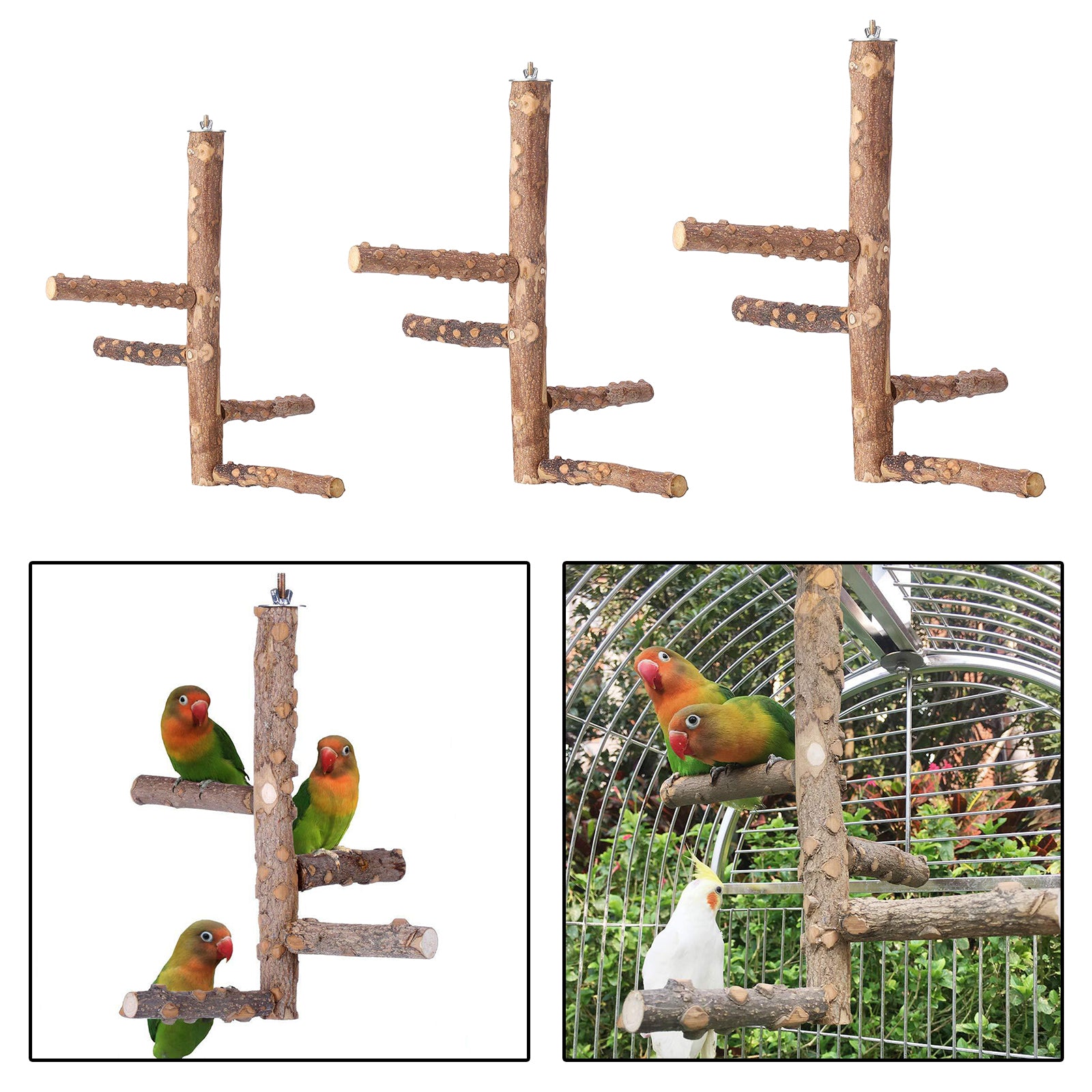 Pet Bird Parrot Perch Stand Holder Natural Wood Claw Grinding M 10x25cm