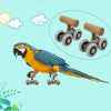 Playground Parrot Mini Roller Skates Toys Bird Budgerigar Gym Toy Adjustable