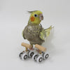 Playground Parrot Mini Roller Skates Toys Bird Budgerigar Gym Toy Adjustable