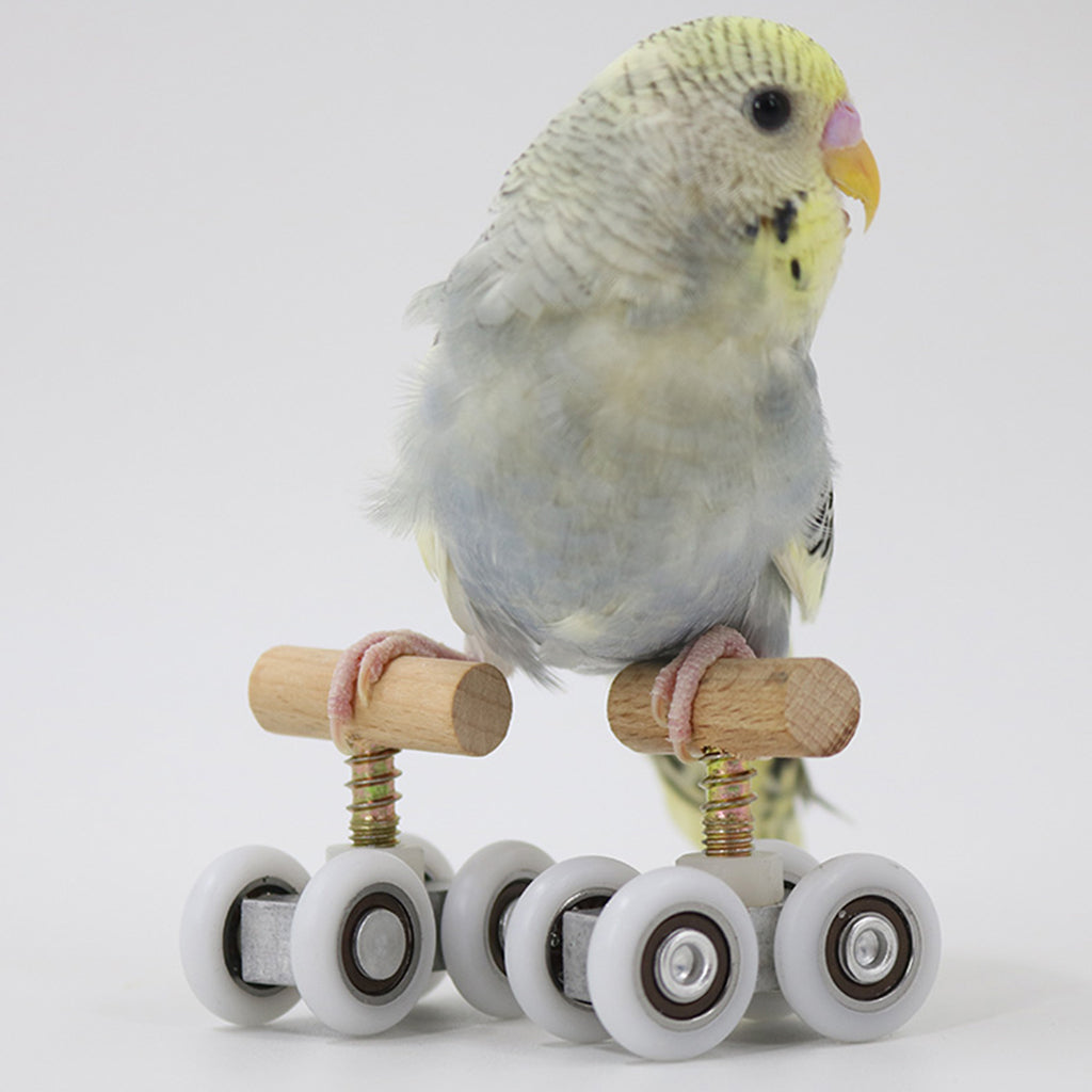 Playground Parrot Mini Roller Skates Toys Bird Budgerigar Gym Toy Adjustable