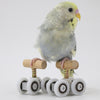 Playground Parrot Mini Roller Skates Toys Bird Budgerigar Gym Toy Adjustable