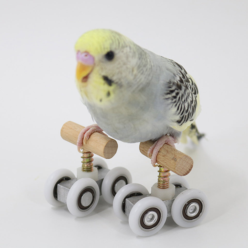 Playground Parrot Mini Roller Skates Toys Bird Budgerigar Gym Toy Adjustable