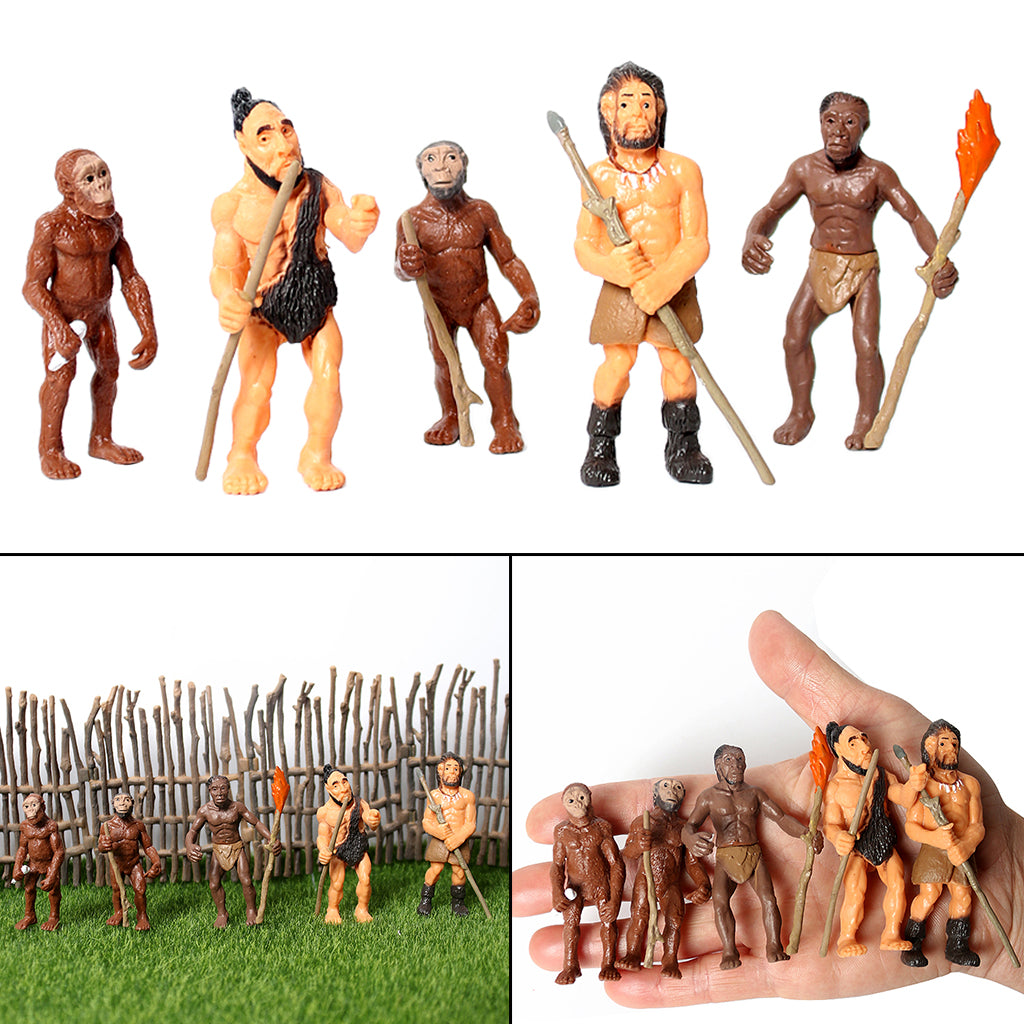 Human Evolution Action Figure Toy Collection Kids Science Cognitive Office