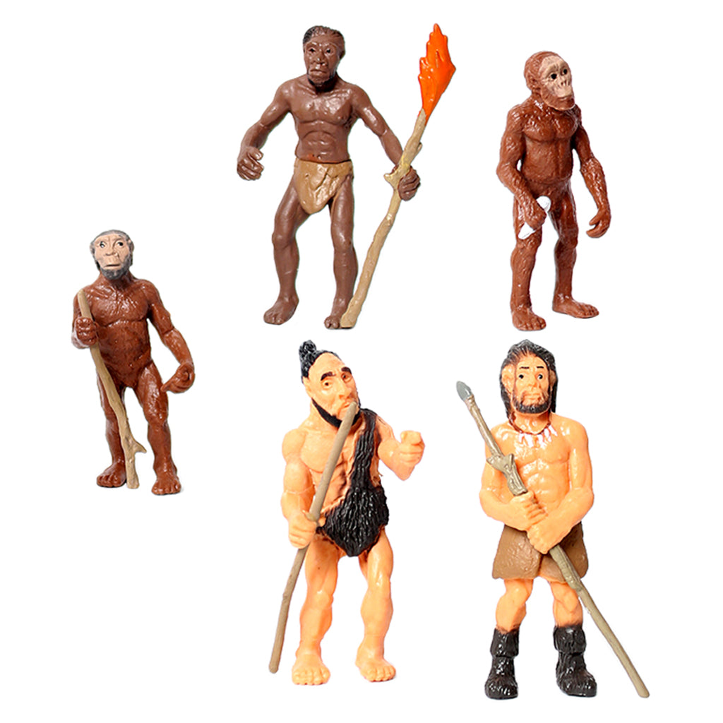 Human Evolution Action Figure Toy Collection Kids Science Cognitive Office