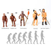 Human Evolution Action Figure Toy Collection Kids Science Cognitive Office