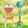 Pet Molar Bite Toy Dog Tug Rope Ball Chew Toy Suction Cup Blue with Bell