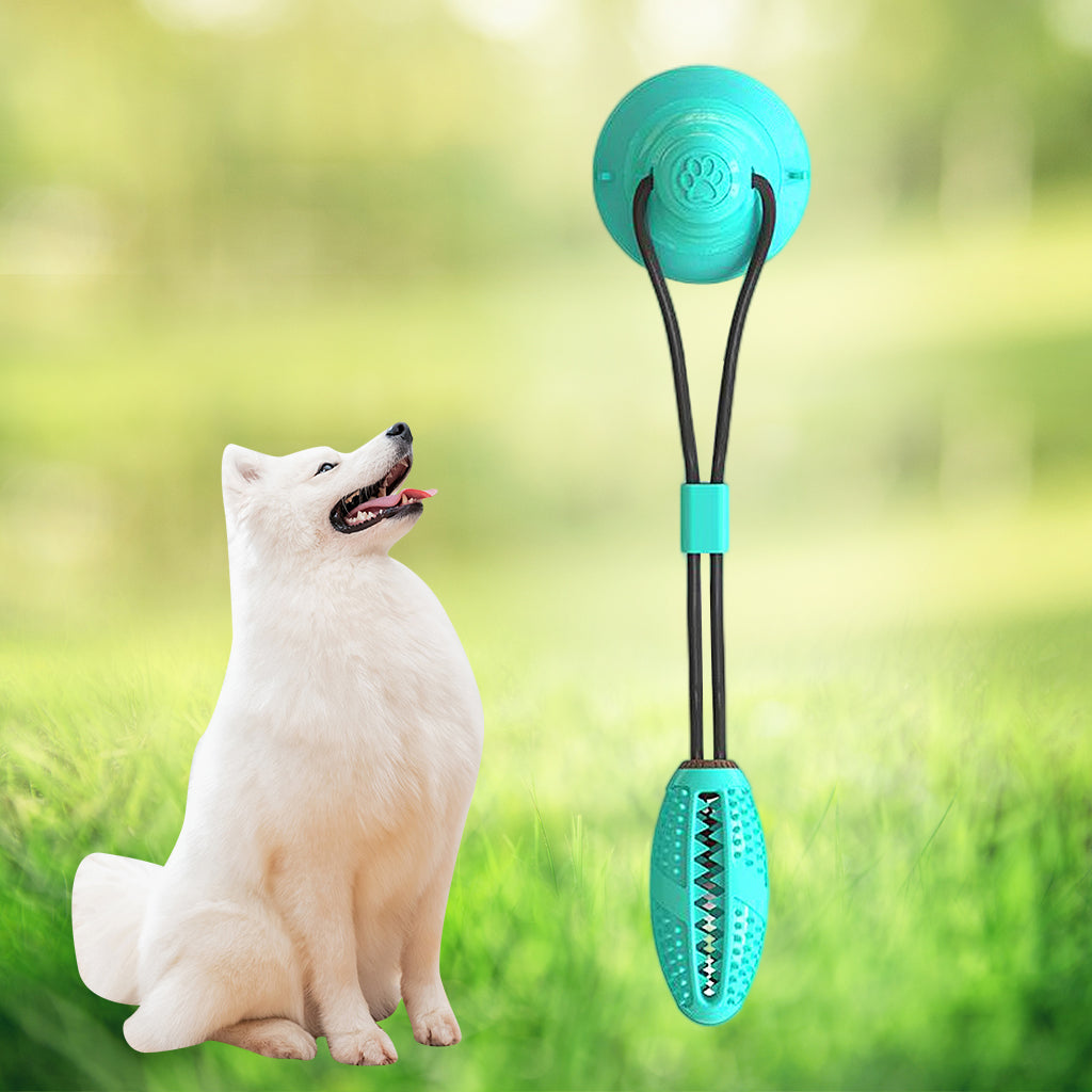 Pet Molar Bite Toy Dog Tug Rope Ball Chew Toy Suction Cup Blue No Bell