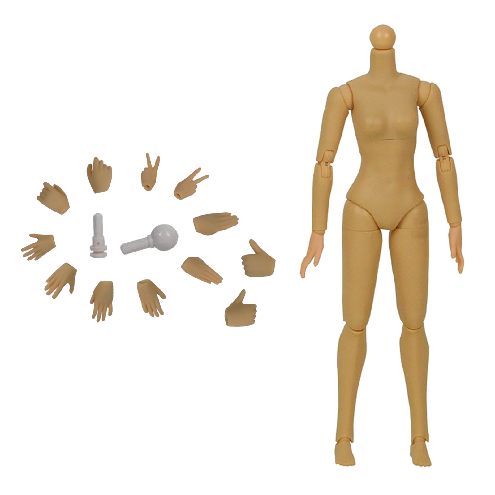 1/6 Scale Female Figure Body Model European and American/Asian Skin Model Wheat Skin
