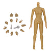 Load image into Gallery viewer, 1/6 Scale Female Figure Body Model European and American/Asian Skin Model Wheat Skin