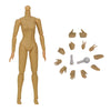 Load image into Gallery viewer, 1/6 Scale Female Figure Body Model European and American/Asian Skin Model Wheat Skin