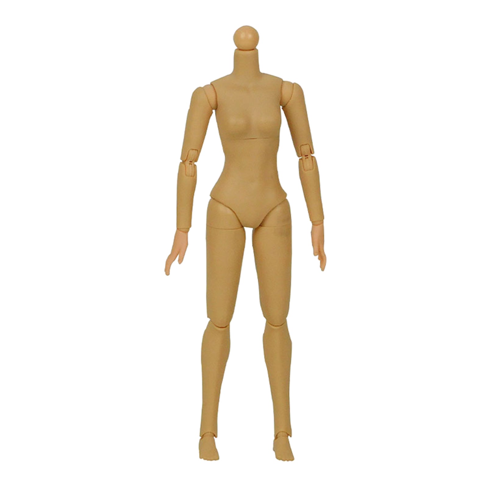 1/6 Scale Female Figure Body Model European and American/Asian Skin Model Wheat Skin