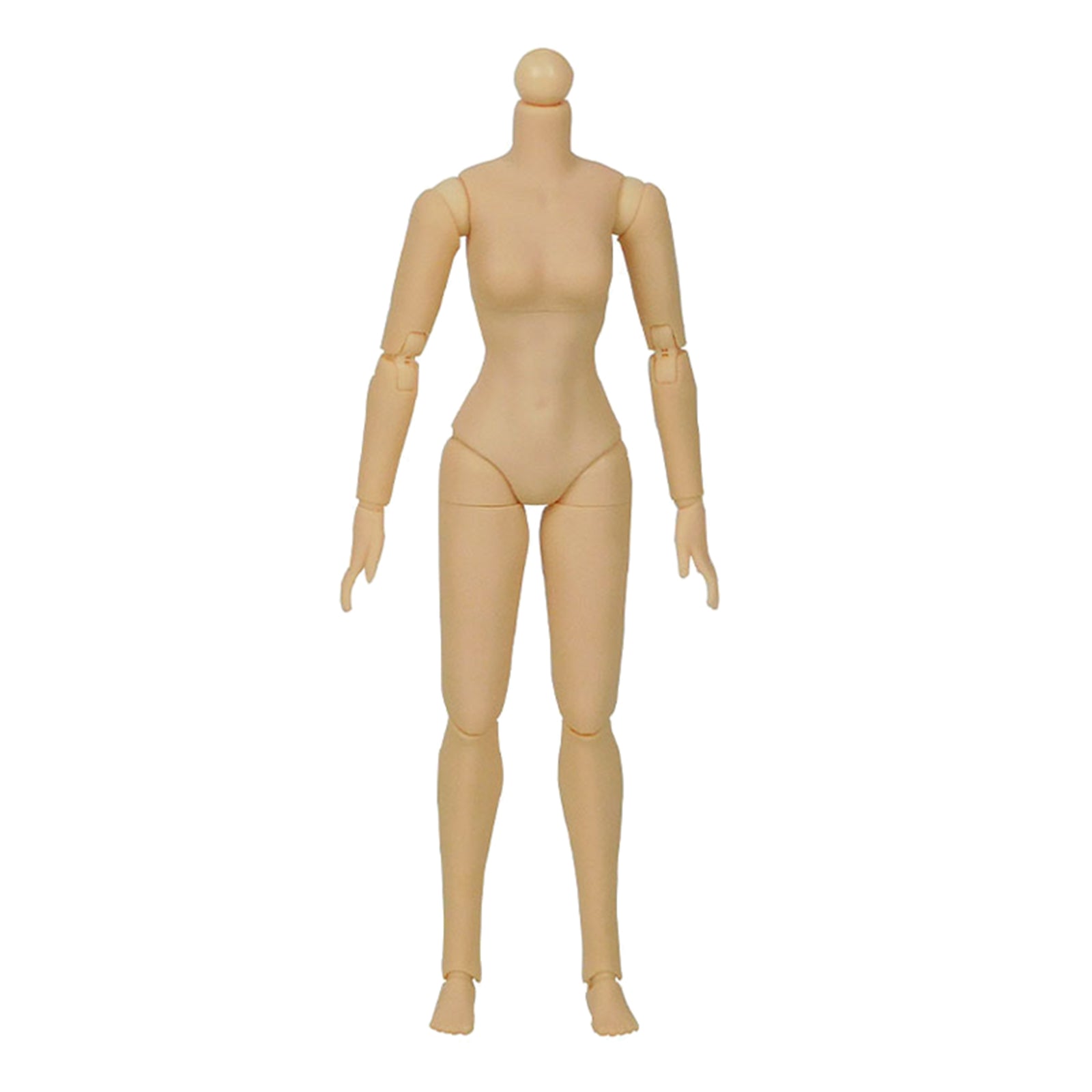 1/6 Scale Female Figure Body Model European and American/Asian Skin Model Normal Skin
