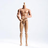 1/6 Scale Male Muscular Body Figures Toy 12 Inch Male Body for Collections