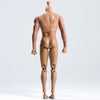 1/6 Scale Male Muscular Body Figures Toy 12 Inch Male Body for Collections