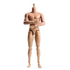 1/6 Scale Male Muscular Body Figures Toy 12 Inch Male Body for Collections