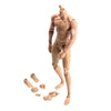 1/6 Scale Male Muscular Body Figures Toy 12 Inch Male Body for Collections