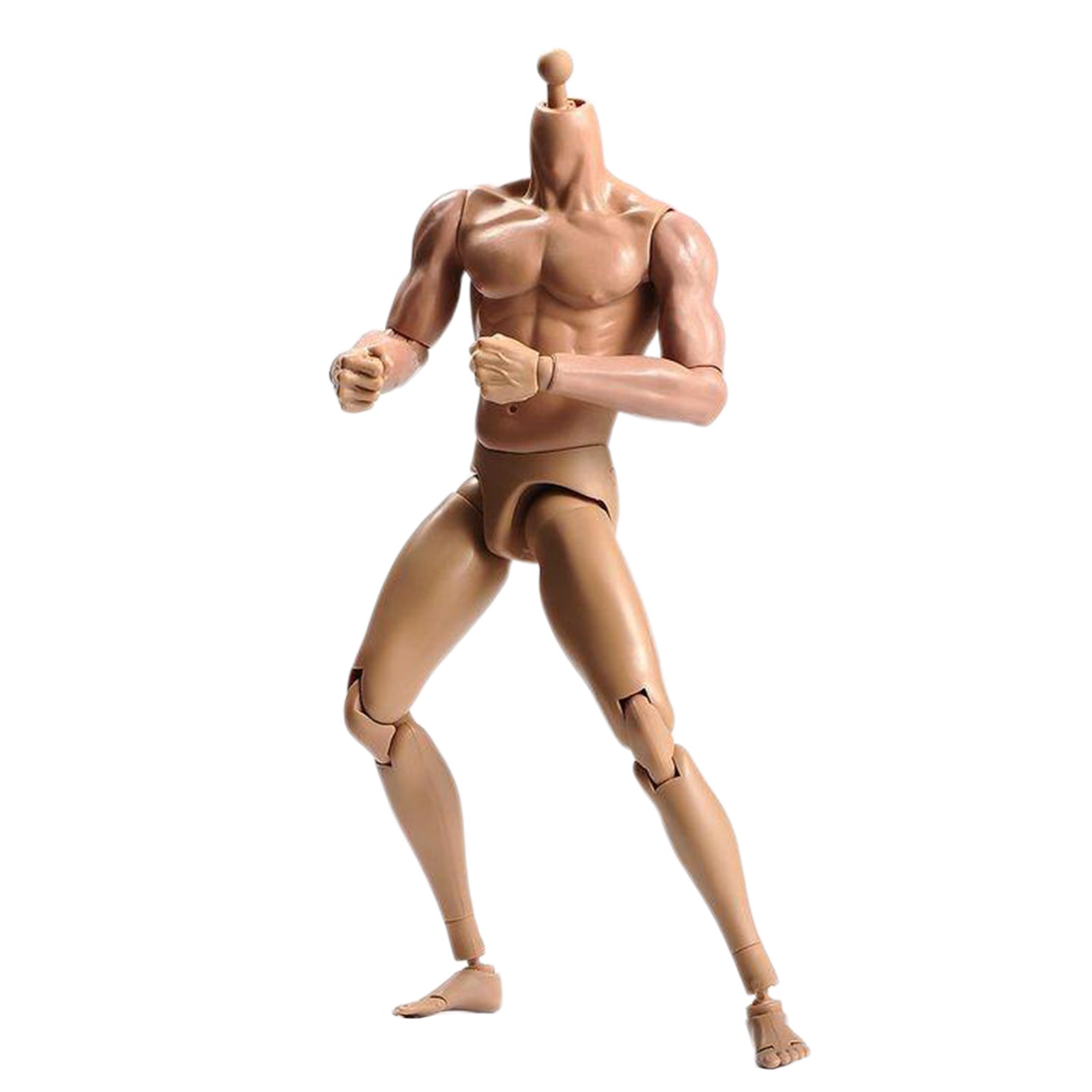 1/6 Scale Male Muscular Body Figures Toy 12 Inch Male Body for Collections