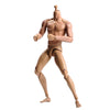 1/6 Scale Male Muscular Body Figures Toy 12 Inch Male Body for Collections