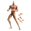 1/6 Scale Male Muscular Body Figures Toy 12 Inch Male Body for Collections
